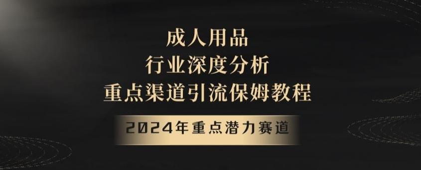 2024年重点潜力赛道，成人用品行业深度分析，重点渠道引流保姆教程【揭秘】-爱找项目网