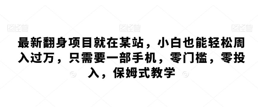 最新翻身项目就在某站，小白也能轻松周入过万，只需要一部手机，零门槛，零投入，保姆式教学-爱找项目网