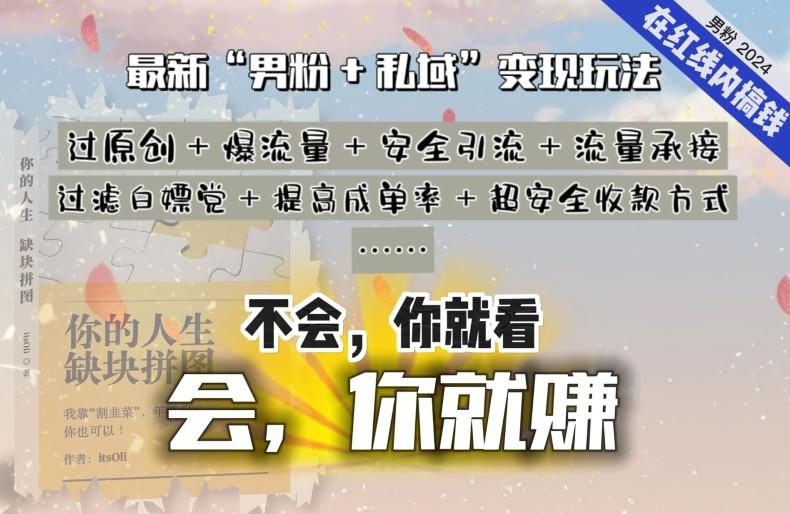 2024，“男粉+私域”还是最耐造、最赚、最轻松、最愉快的变现方式【揭秘】-爱找项目网