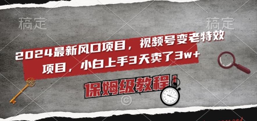 2024最新风口项目，视频号变老特效项目，电脑小白上手3天卖了3w+，保姆级教程【揭秘】-爱找项目网