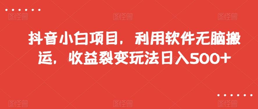 抖音小白项目，利用软件无脑搬运，收益裂变玩法日入500+【揭秘】-爱找项目网