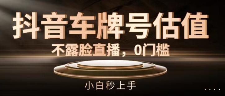 抖音车牌号估值，不露脸直播，0门槛，小白秒上手【揭秘】-爱找项目网