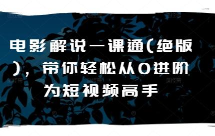 电影解说一课通(绝版)，带你轻松从0进阶为短视频高手-爱找项目网