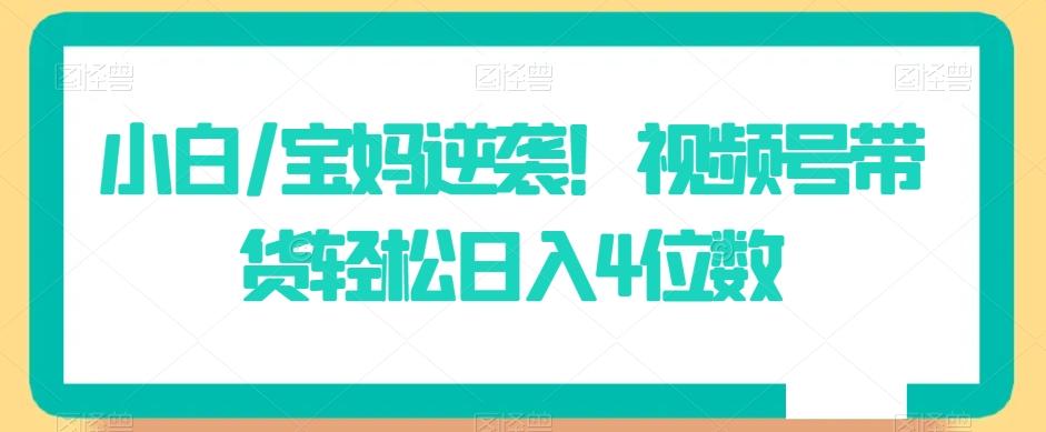 小白/宝妈逆袭！视频号带货轻松日入4位数【揭秘】-爱找项目网