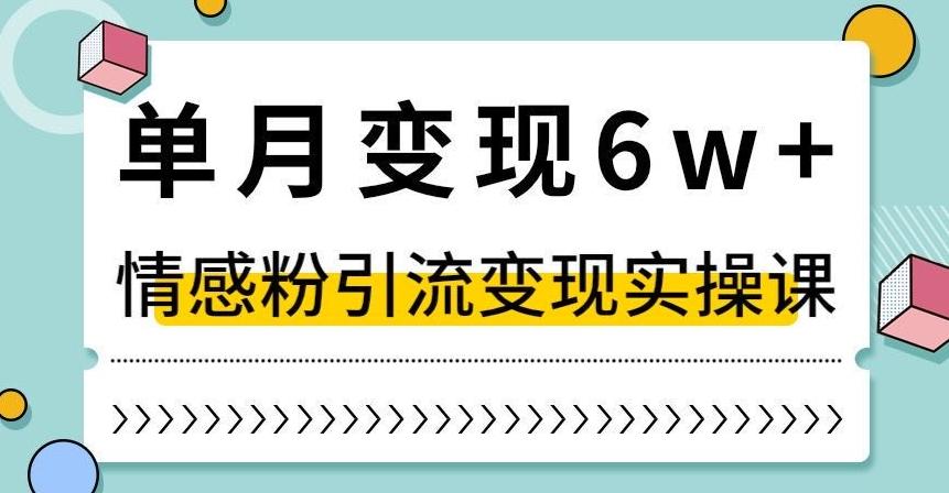 单月变现6W+，抖音情感粉引流变现实操课，小白可做，轻松上手，独家赛道【揭秘】-爱找项目网