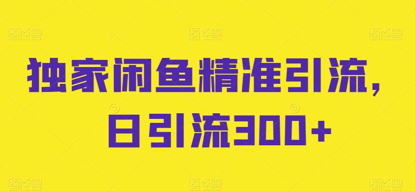 独家闲鱼精准引流，日引流300+【揭秘】-爱找项目网