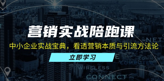 营销实战陪跑课：中小企业实战宝典，看透营销本质与引流方法论-爱找项目网