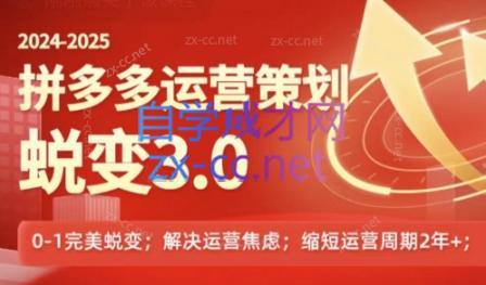 大力老师·2024拼多多运营策略蜕变3.0-爱找项目网