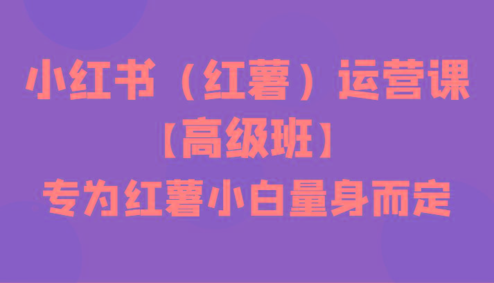 小红书(红薯)运营课【高级班】，专为红薯小白量身而定(42节课)-爱找项目网