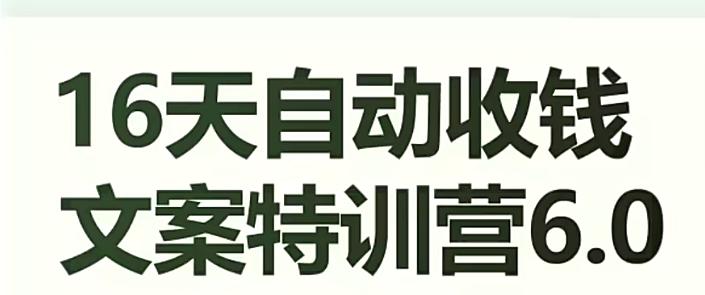 16天自动收钱文案特训营6.0，学会儿每天自动咔咔收钱-爱找项目网