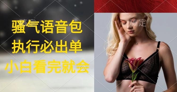 (9589期)执行就出单，日入2000+，超火骚气语音包，小白看完课程就能马上实操-爱找项目网