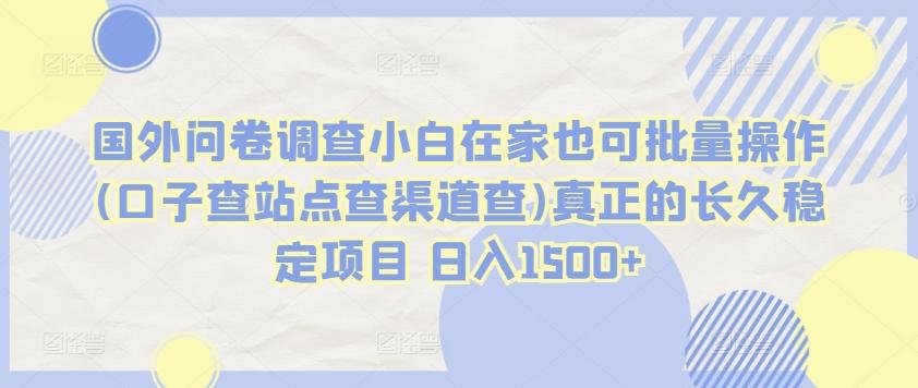 国外问卷调查小白在家也可批量操作(口子查站点查渠道查)真正的长久稳定项目 日入1500+【揭秘】-爱找项目网