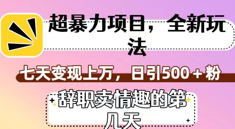 超暴利项目，全新玩法（辞职卖情趣的第几天），七天变现上万，日引500+粉【揭秘】-爱找项目网