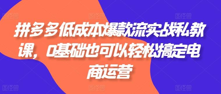 拼多多低成本爆款流实战私教课，0基础也可以轻松搞定电商运营-爱找项目网