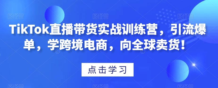 TikTok直播带货实战训练营，引流爆单，学跨境电商，向全球卖货！-爱找项目网
