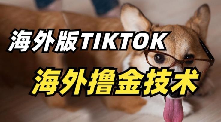 抖音海外版tiktok撸金技术，这个风口行业，赚钱真的不难【揭秘】-爱找项目网