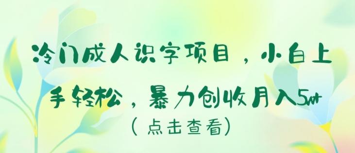冷门成人识字项目，小白上手轻松，暴力创收月入5w+【揭秘】-爱找项目网