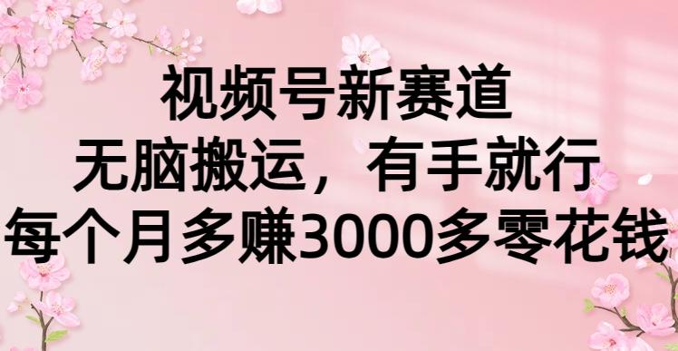 (9278期)视频号新赛道，无脑搬运，有手就行，每个月多赚3000多零花钱-爱找项目网