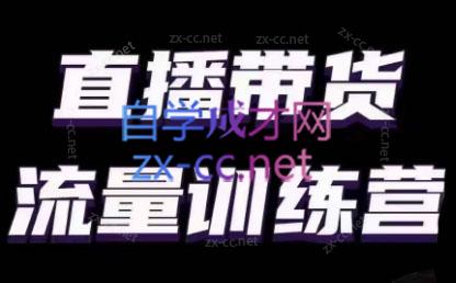 婉婉·直播带货课程系列合集(更新8月)-爱找项目网
