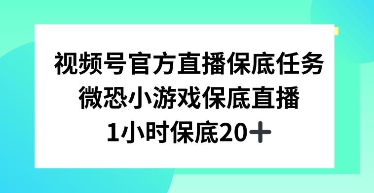 视频号直播任务，微恐小游戏，1小时20+【揭秘】-爱找项目网