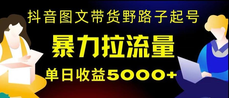 抖音图文带货暴力起号，单日收益5000+，野路子玩法，简单易上手，一部手机即可【揭秘】-爱找项目网