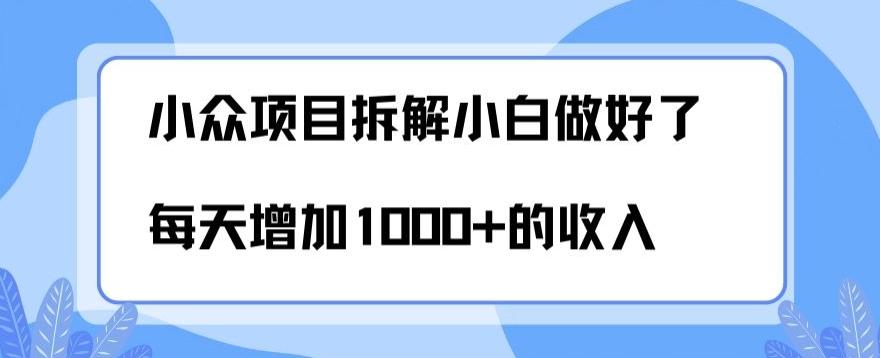 小众项目拆解，小白做好了每天可增加1000多的收入-爱找项目网