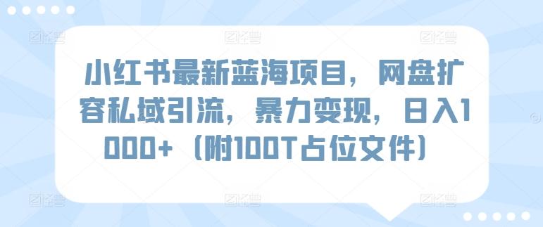 小红书最新蓝海项目，网盘扩容私域引流，暴力变现，日入1000+(附100T占位文件)【揭秘】-爱找项目网