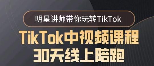 TikTok中视频课程30天线上陪跑，明星讲师带你玩转TikTok-爱找项目网