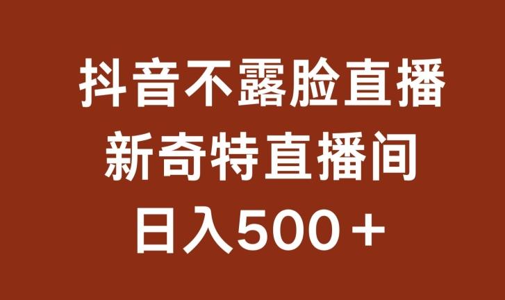 不露脸挂机直播，新奇特直播间，日入500+【揭秘】-爱找项目网