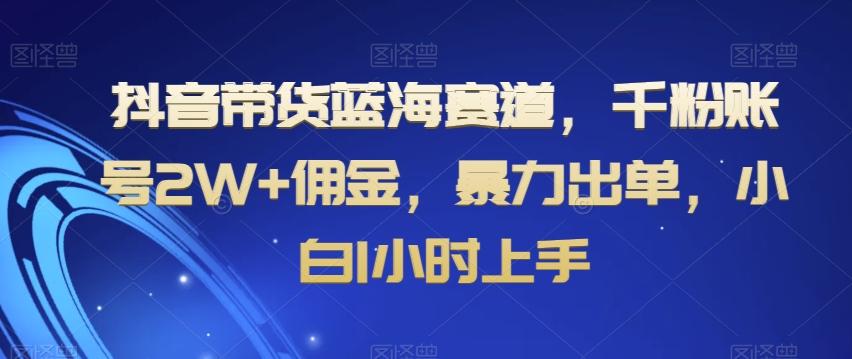 抖音带货蓝海赛道，千粉账号2W+佣金，暴力出单，小白1小时上手【揭秘】-爱找项目网