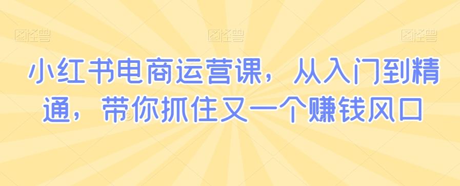 小红书电商运营课，从入门到精通，带你抓住又一个赚钱风口-爱找项目网