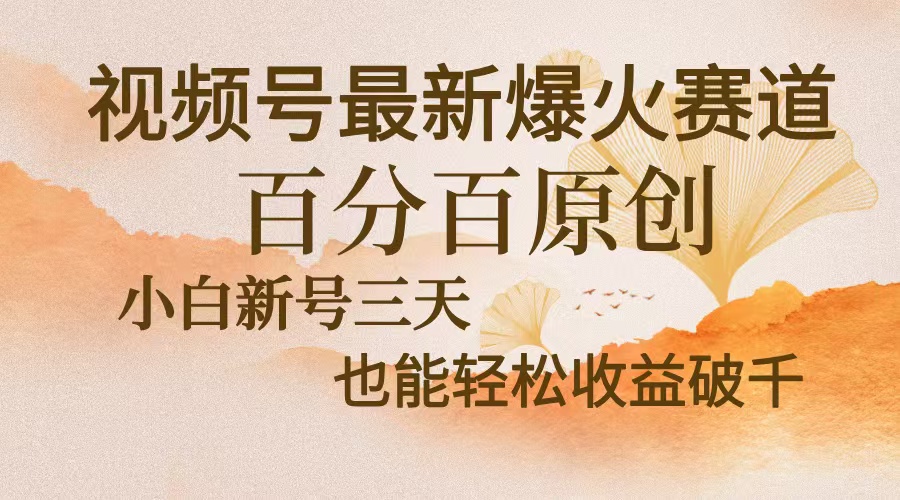 视频号最新爆火赛道，中老年粉深信不疑，百分百原创，新号三天收益轻松…-爱找项目网