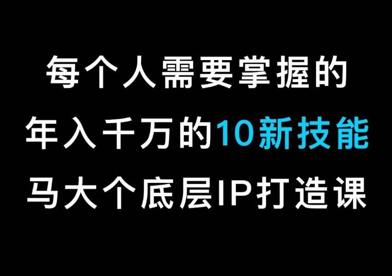 马大个的IP底层逻辑课，​每个人需要掌握的年入千万的10新技能，约会底层IP打造方法！-爱找项目网