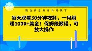 每天观看30分钟视频，一月躺赚1000+美金！保姆级教程，可放大操作【揭秘】-爱找项目网