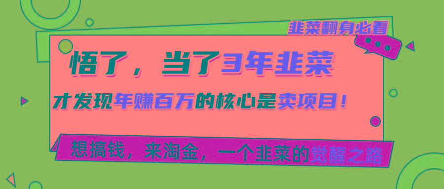 悟了，当了3年韭菜，才发现网赚圈年赚100万的核心是卖项目，含泪分享！-爱找项目网