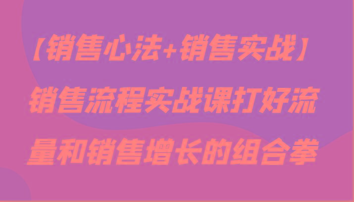 【销售心法+销售实战】销售流程实战课打好流量和销售增长的组合拳-爱找项目网