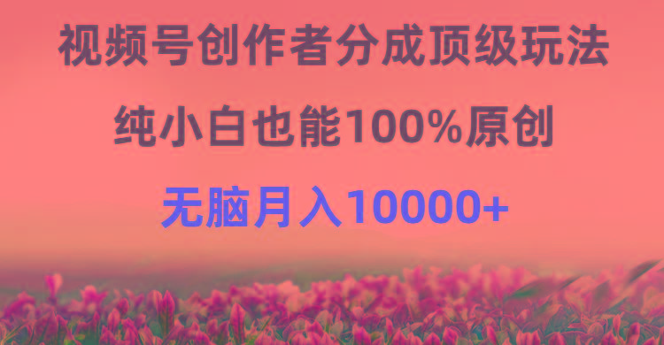 (9608期)视频号创作者分成顶级玩法，纯小白也能100%原创，无脑月入10000+-爱找项目网