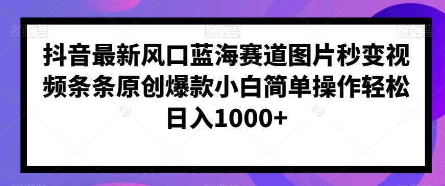 抖音最新风口蓝海赛道图片秒变视频条条原创爆款小白简单操作轻松日入1000+-爱找项目网