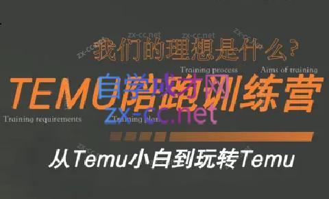 苗苗·拼多多跨境（temu）课程-爱找项目网