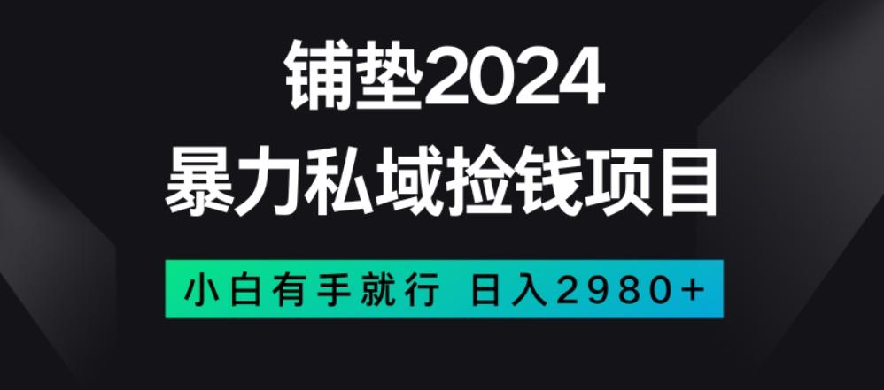 暴力私域捡钱项目，小白无脑操作，日入2980【揭秘】-爱找项目网
