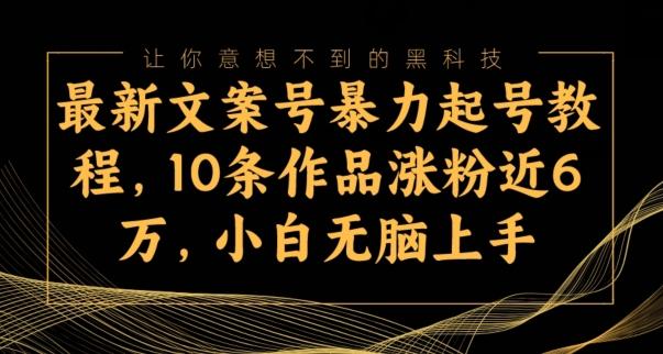 最新文案号暴力起号教程，10条作品涨粉近6万，小白无脑上手-爱找项目网