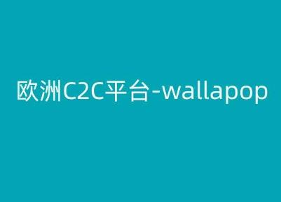 欧洲C2C平台-wallapop-kim跨境电商教程-爱找项目网