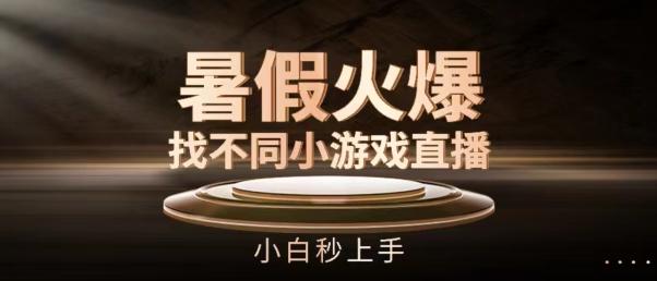 暑假火爆找不同小游戏直播间，小白秒上手【揭秘】-爱找项目网