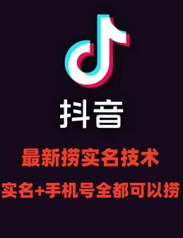 最新技术抖音捞实名+捞手机号技术，抖音直播封禁释放十名/手机号，直接替换出来!-爱找项目网