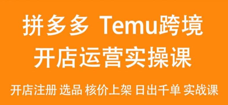 2024Temu最新玩法，Temu跨境开店运营实操课，开店注册/选品/核价上架/日出千单实战课-爱找项目网