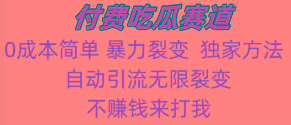 吃瓜付费赛道，暴力无限裂变，0成本，实测日入700+！！！-爱找项目网