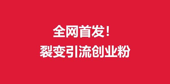 (全网首发)外面收费几千的裂变引流高质量创业粉-爱找项目网