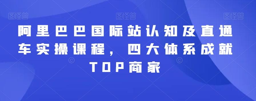阿里巴巴国际站认知及直通车实操课程，四大体系成就TOP商家-爱找项目网