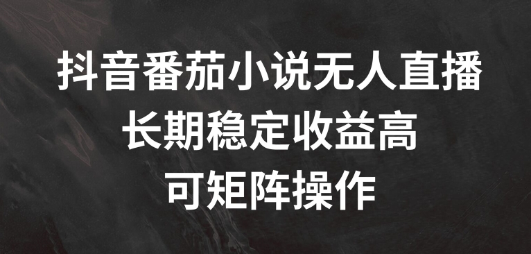 抖音番茄小说无人直播，长期稳定收益高，可矩阵操作【揭秘】-爱找项目网