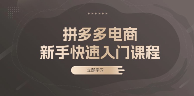 拼多多电商新手快速入门课程：涵盖基础、实战与选款，助力小白轻松上手-爱找项目网
